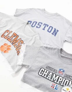 Reclaimed Vintage Revived X Glass Onion Crop Sport Tee With Lace Hem For Women Grey -Closet Theory Her 206484318 2